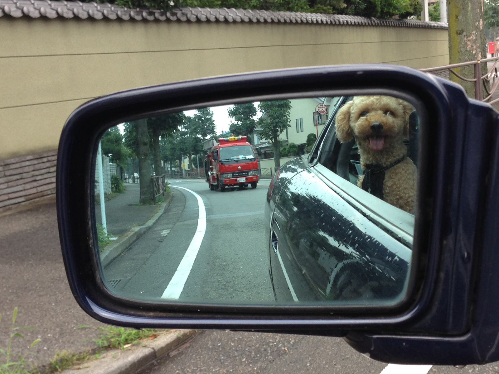 街に暮らす人々